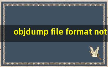 objdump file format not recognized